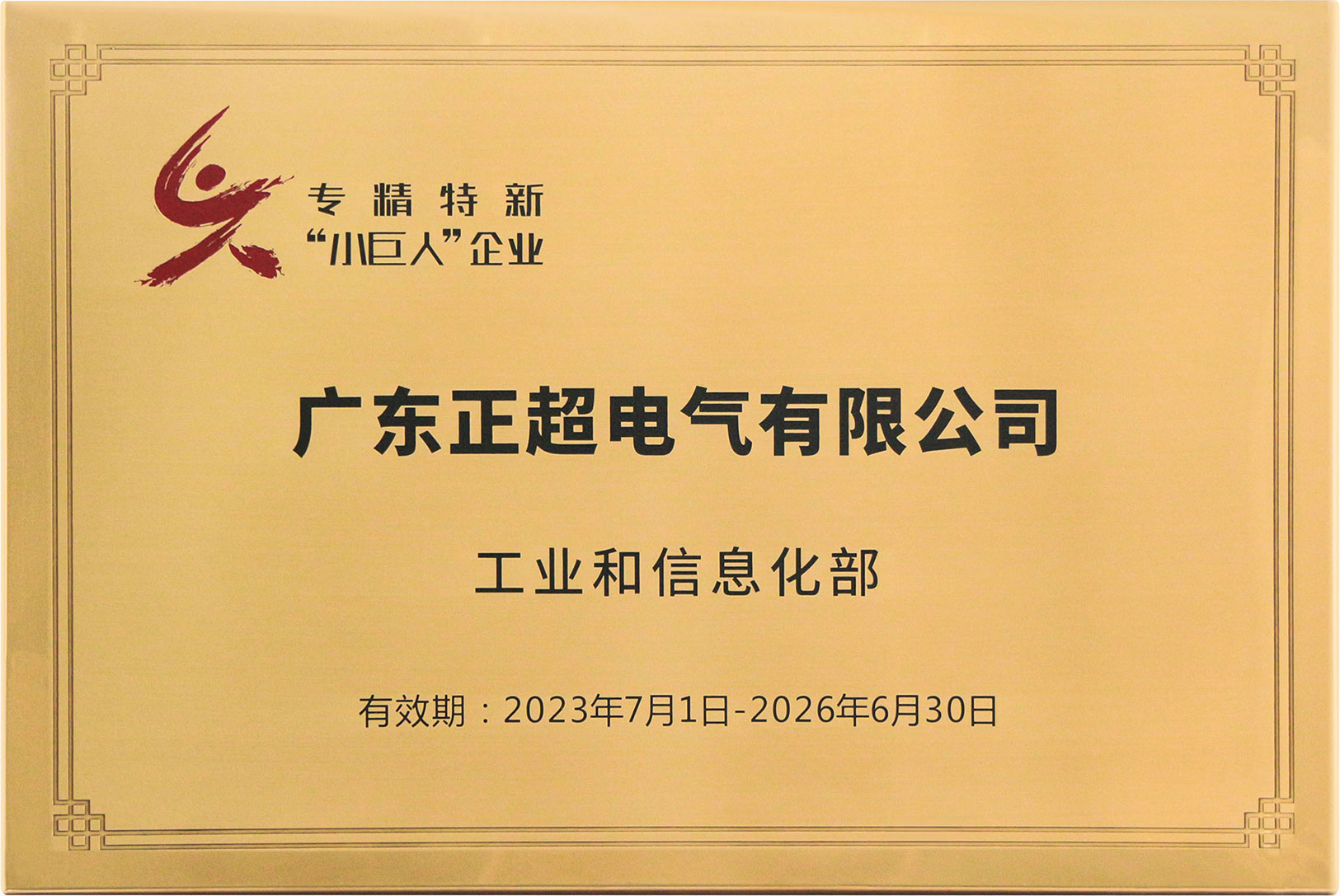 國家專精特新小巨人企業(yè)